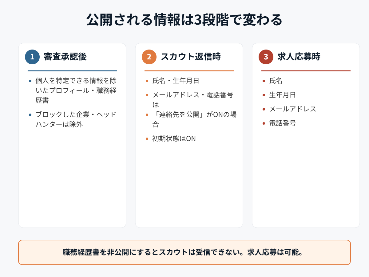 ビズリーチで審査承認後、スカウト返信時、求人応募時に公開される情報